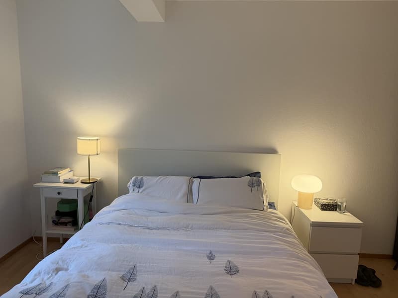 Lichtdurchflutete Altbau-Oase mit Wintergarten und Sitzplatz (8)