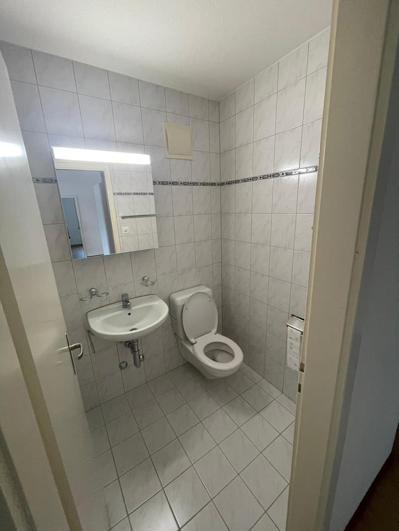 3-Zimmer-Wohnung in Dübendorf, ab 1. November zu vermieten (3)