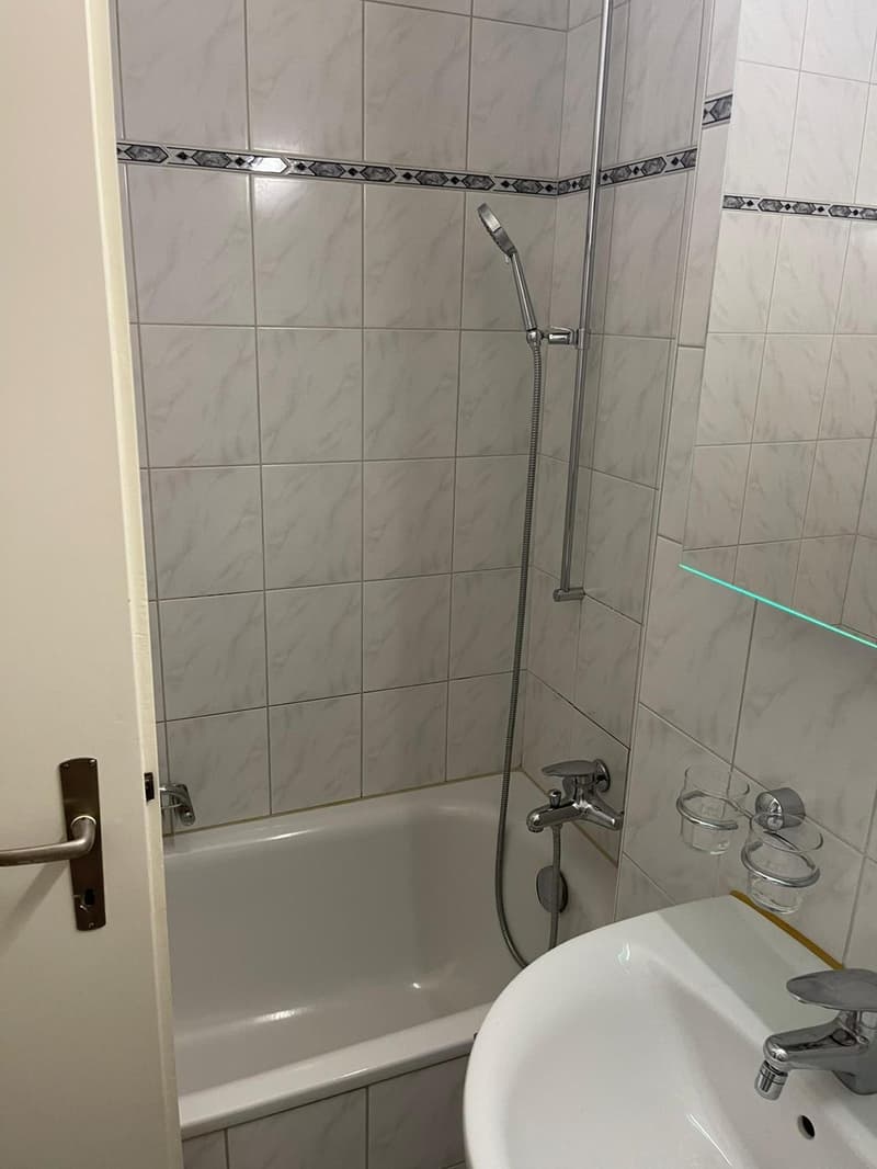 3-Zimmer-Wohnung in Dübendorf, ab 1. November zu vermieten (1)