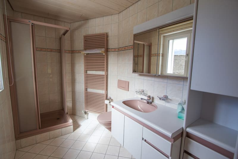 1,5-Zimmer-Wohnung im EG mit Kellernische CHF 600.- ALLES INKLUSIVE! Frei per 15.12. (4)