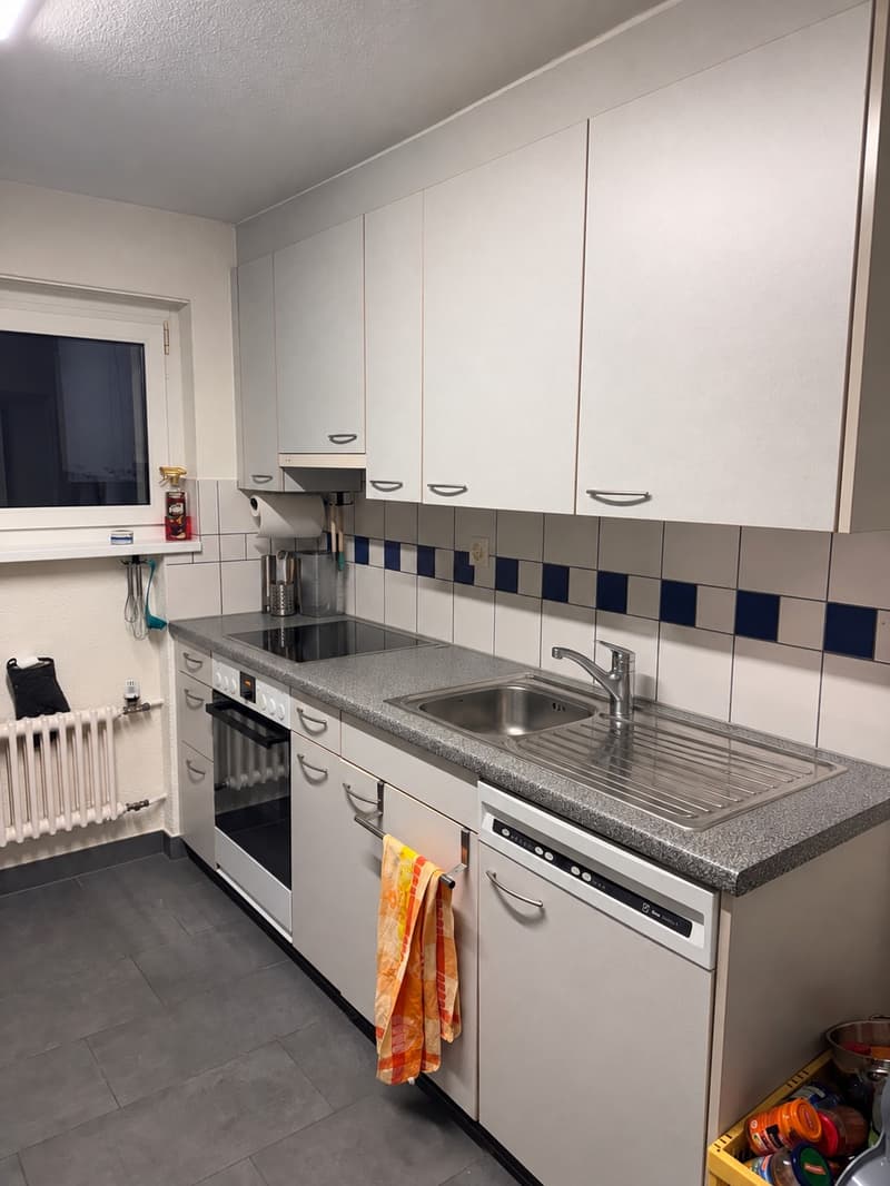 Gemütliche Wohnung in ruhiger Lage (2)