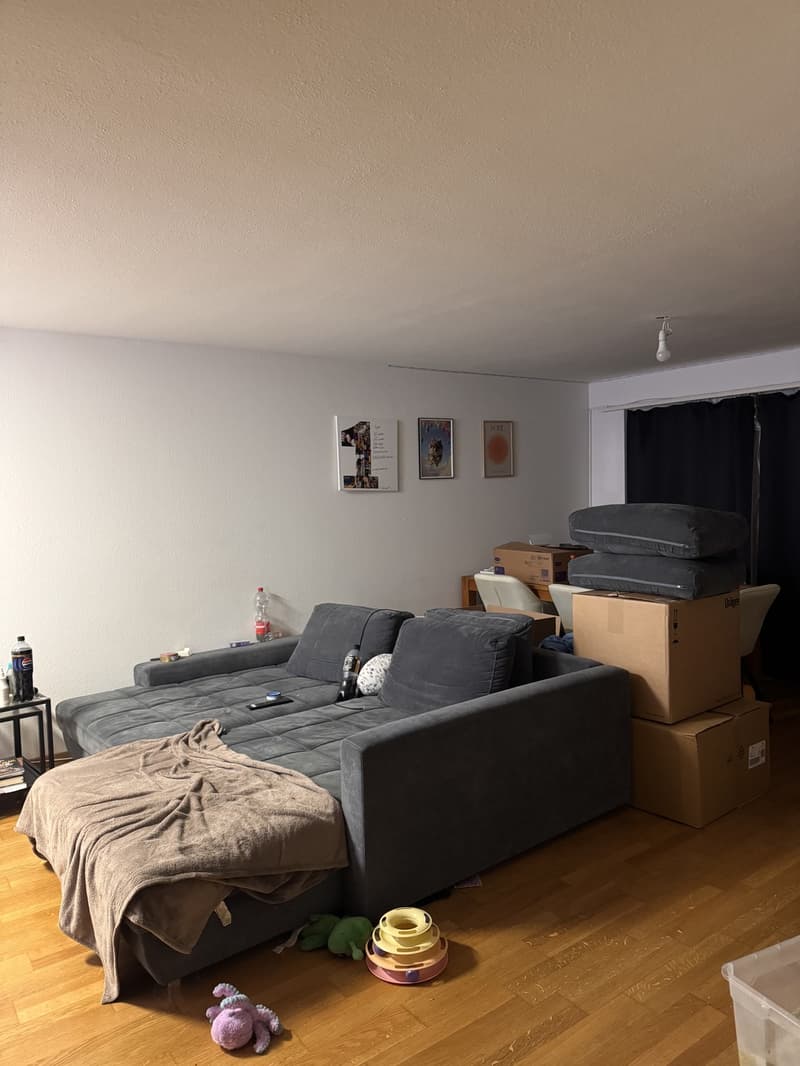 Gemütliche Wohnung in ruhiger Lage (7)