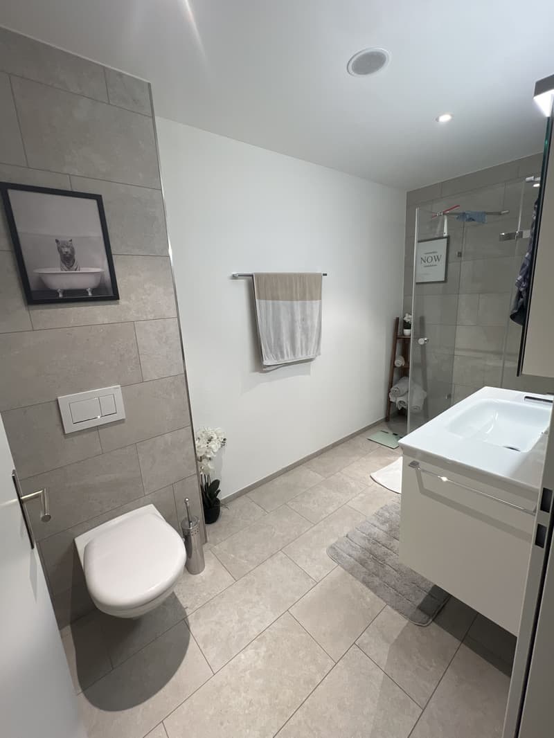 3 ½ Zimmer-Wohnung, 8484 Weisslingen (1)