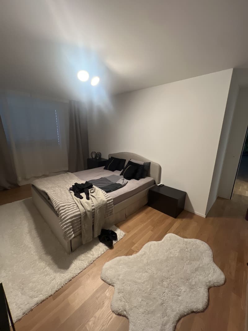3 ½ Zimmer-Wohnung, 8484 Weisslingen (2)