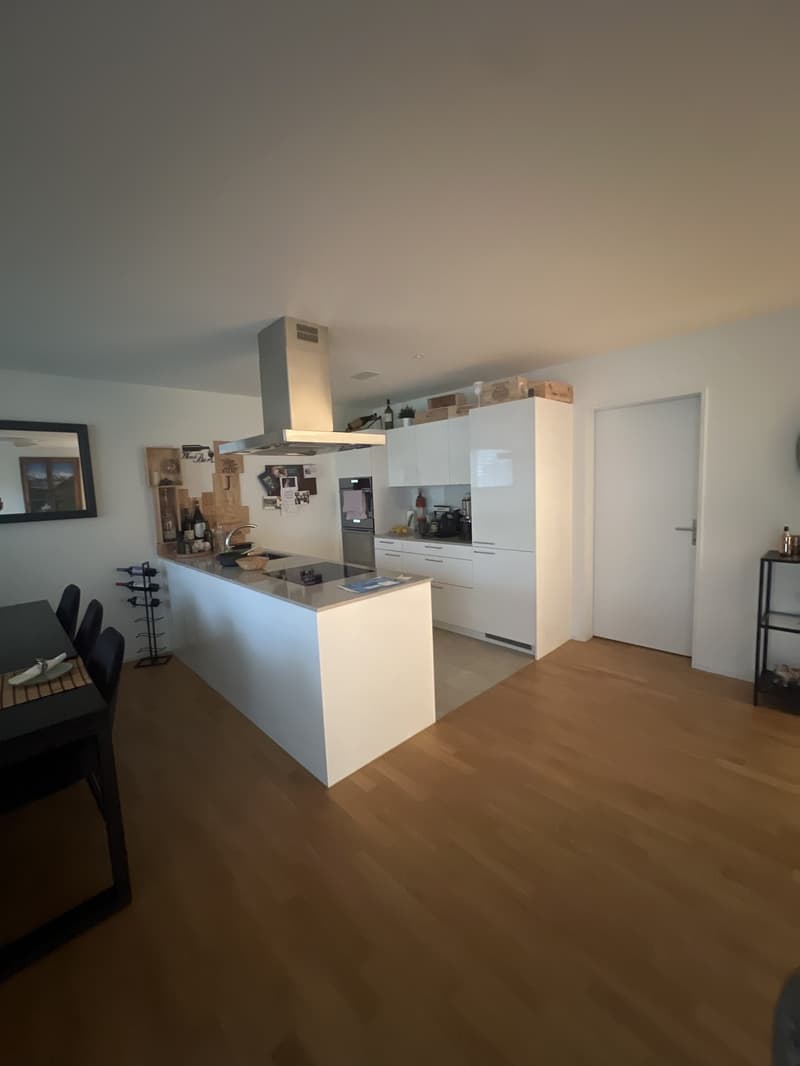 3 ½ Zimmer-Wohnung, 8484 Weisslingen (6)