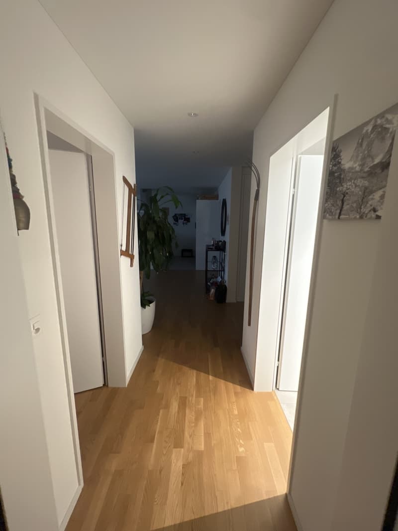 3 ½ Zimmer-Wohnung, 8484 Weisslingen (3)