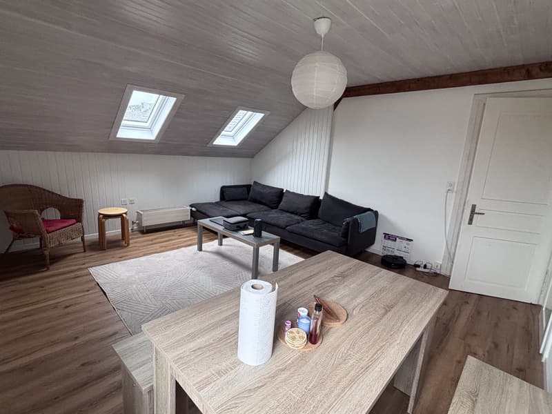 3-Zimmerwohnung nähe Zürich (Thalwil) (1)