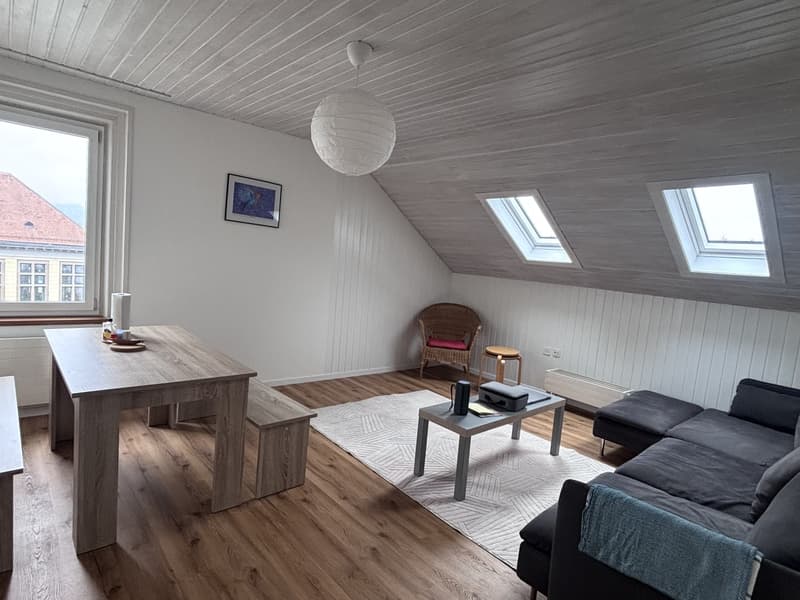 3-Zimmerwohnung nähe Zürich (Thalwil) (5)