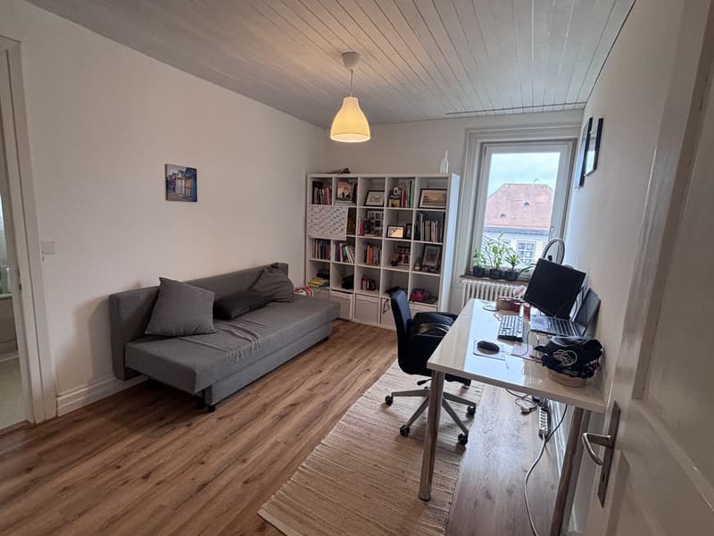 3-Zimmerwohnung nähe Zürich (Thalwil) (6)