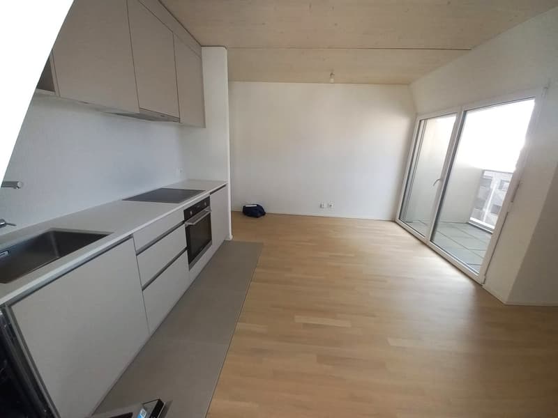 Studio lumineux et moderne avec balcon à Lausanne (5)