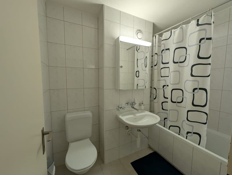 Centrally located 2-room apartment in Zurich Kreis 5 (4)