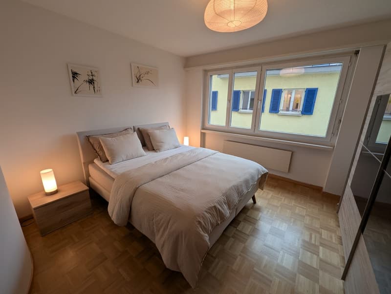 Centrally located 2-room apartment in Zurich Kreis 5 (3)
