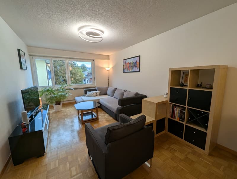 Centrally located 2-room apartment in Zurich Kreis 5 (1)