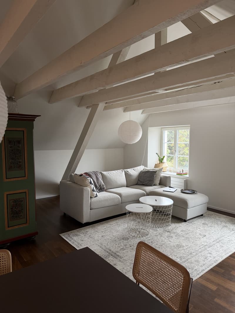 Helle und grosszügige 3.5-Zimmer-Dachwohnung in ruhiger Lage in Hombrechtikon (4)