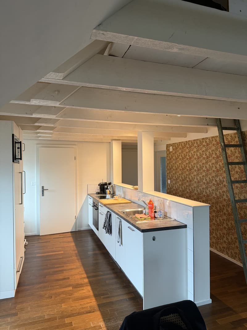 Helle und grosszügige 3.5-Zimmer-Dachwohnung in ruhiger Lage in Hombrechtikon (2)
