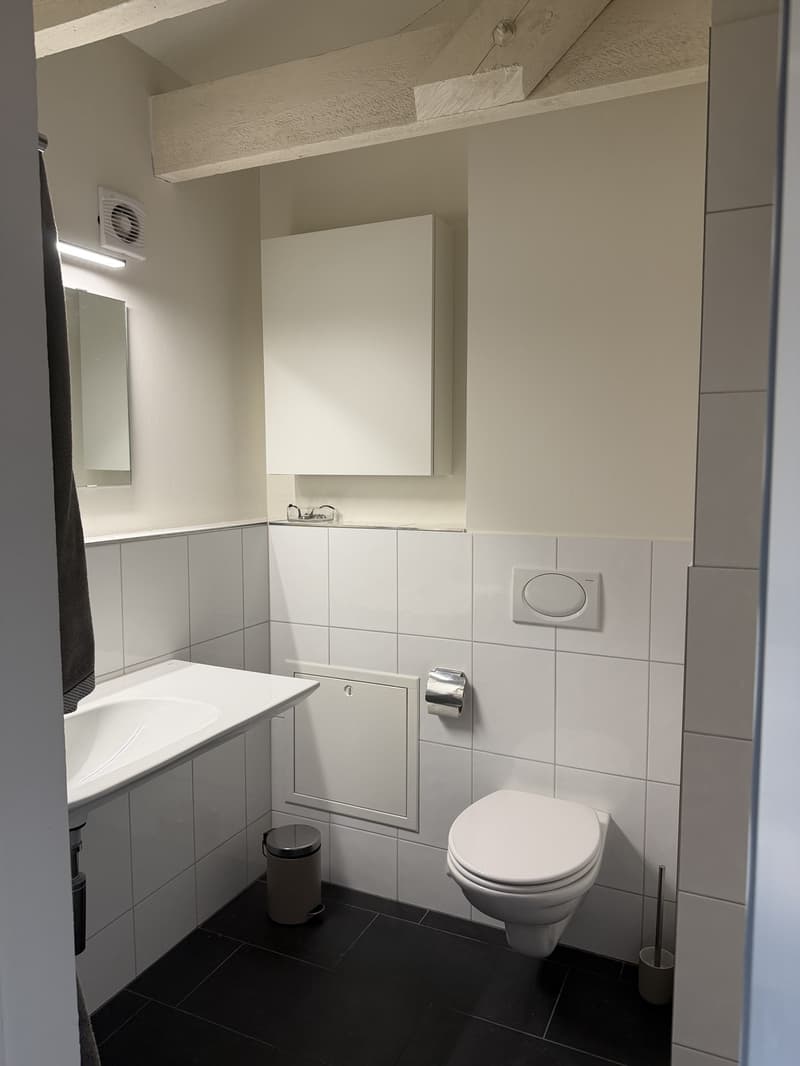 Helle und grosszügige 3.5-Zimmer-Dachwohnung in ruhiger Lage in Hombrechtikon (8)