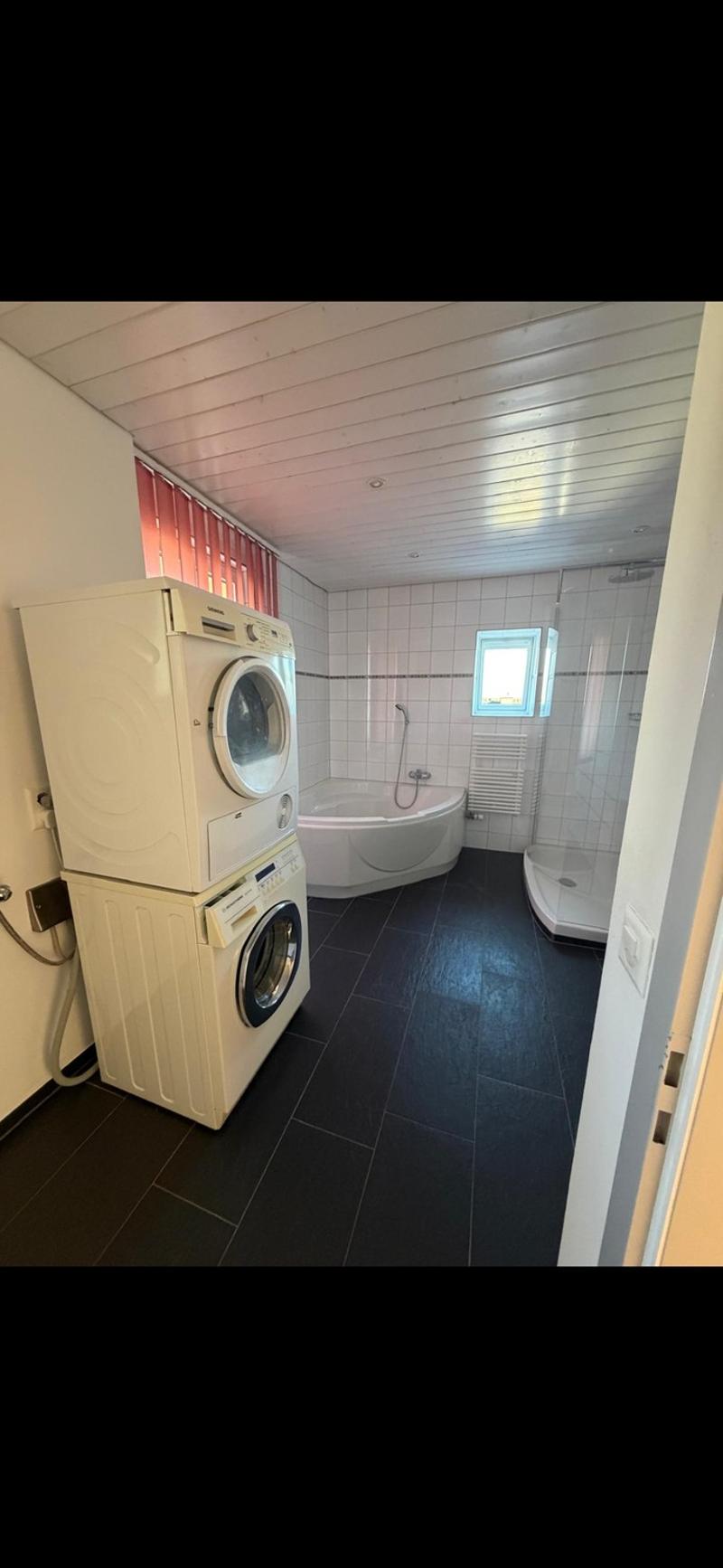 Helle 4.5 Zimmer Maisonette Wohnung (5)