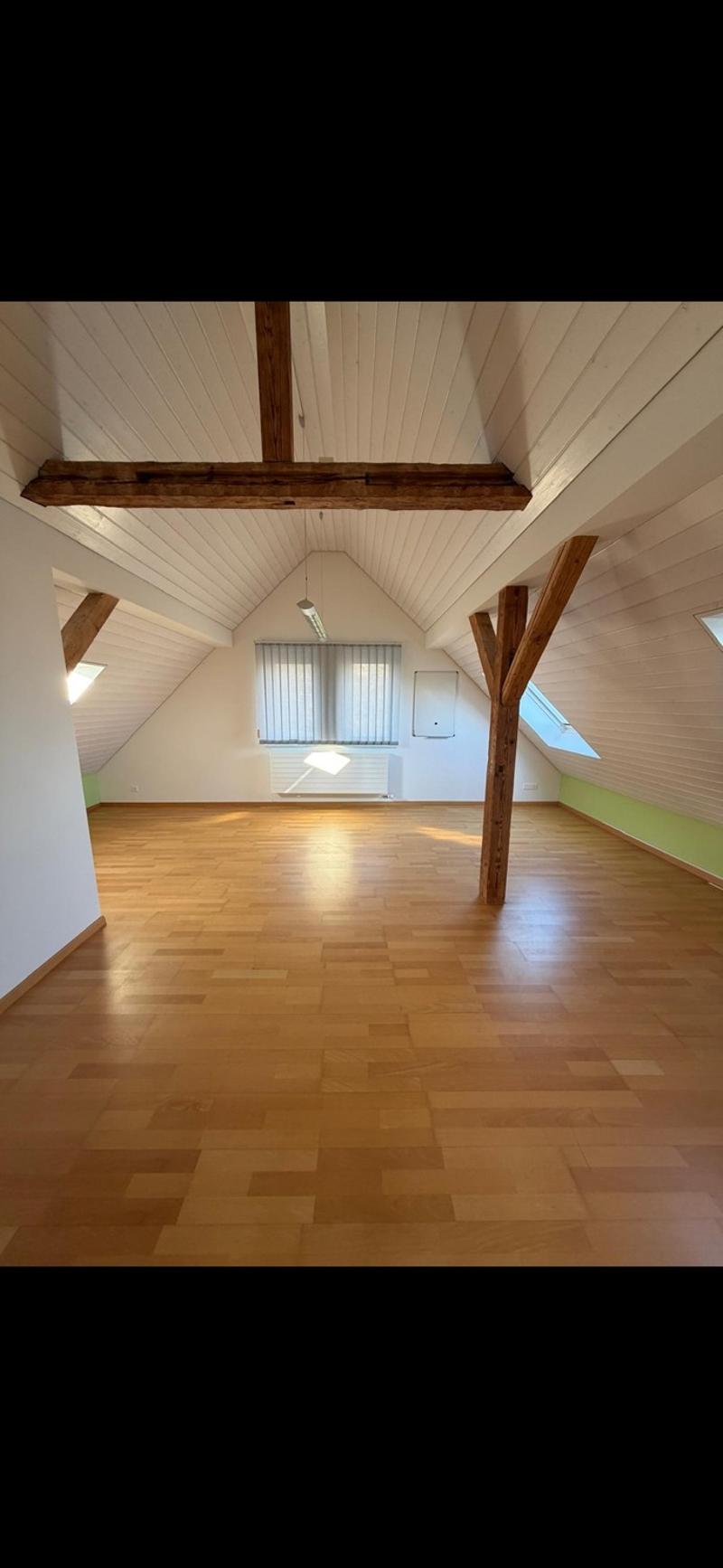 Helle 4.5 Zimmer Maisonette Wohnung (7)