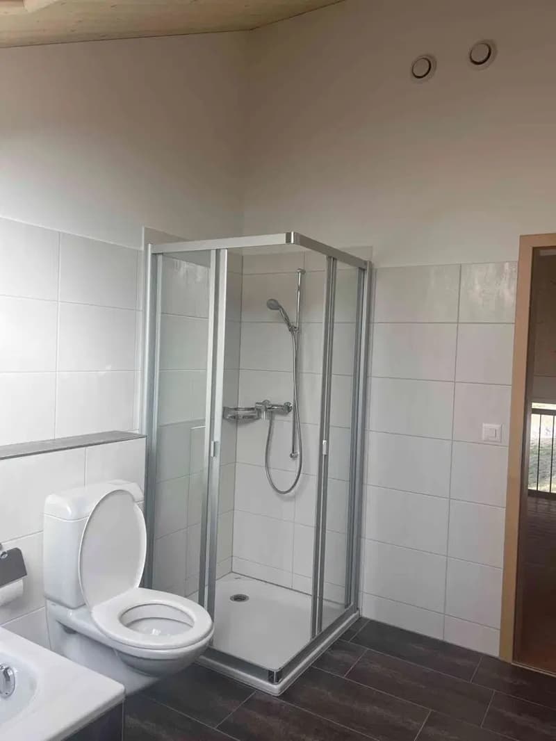 Schöne moderne lichtdurchflutete Wohnung (4)