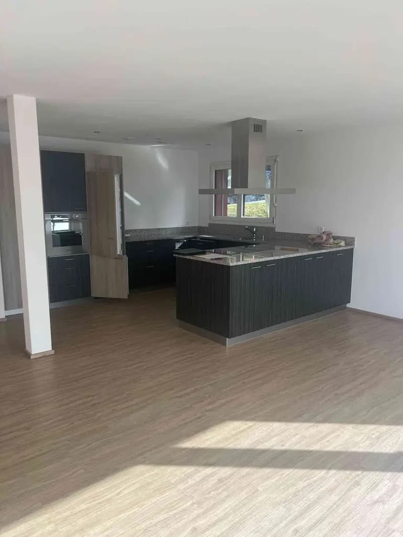 Schöne moderne lichtdurchflutete Wohnung (7)