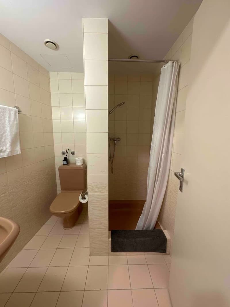 Möblierte Wohnung Kleinbasler Altstadt, Ende Okt.Ende Jan., CHF 1'400 alles inkl. (4)
