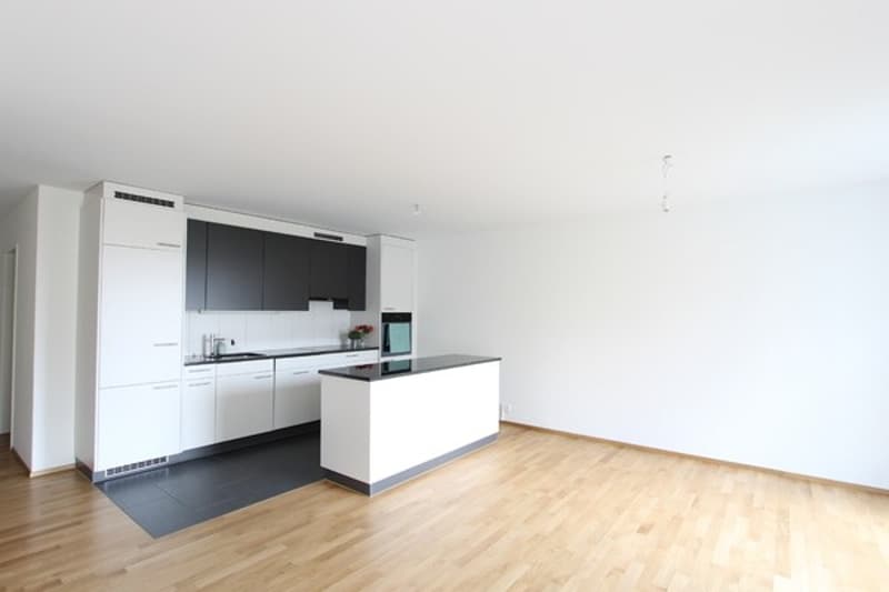 Moderne 3,5-Zimmer-Wohnung mit Balkon in Brugg Nachmieter gesucht (3)