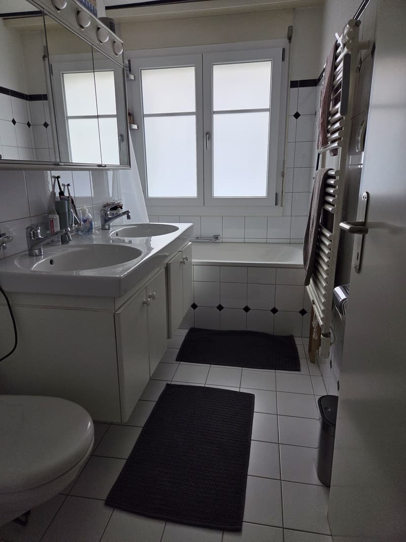 4.5 Zimmerwohnung ab 1.11 verfügbar (4)