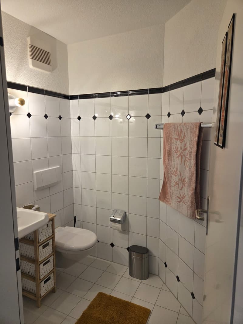 4.5 Zimmerwohnung ab 1.11 verfügbar (6)