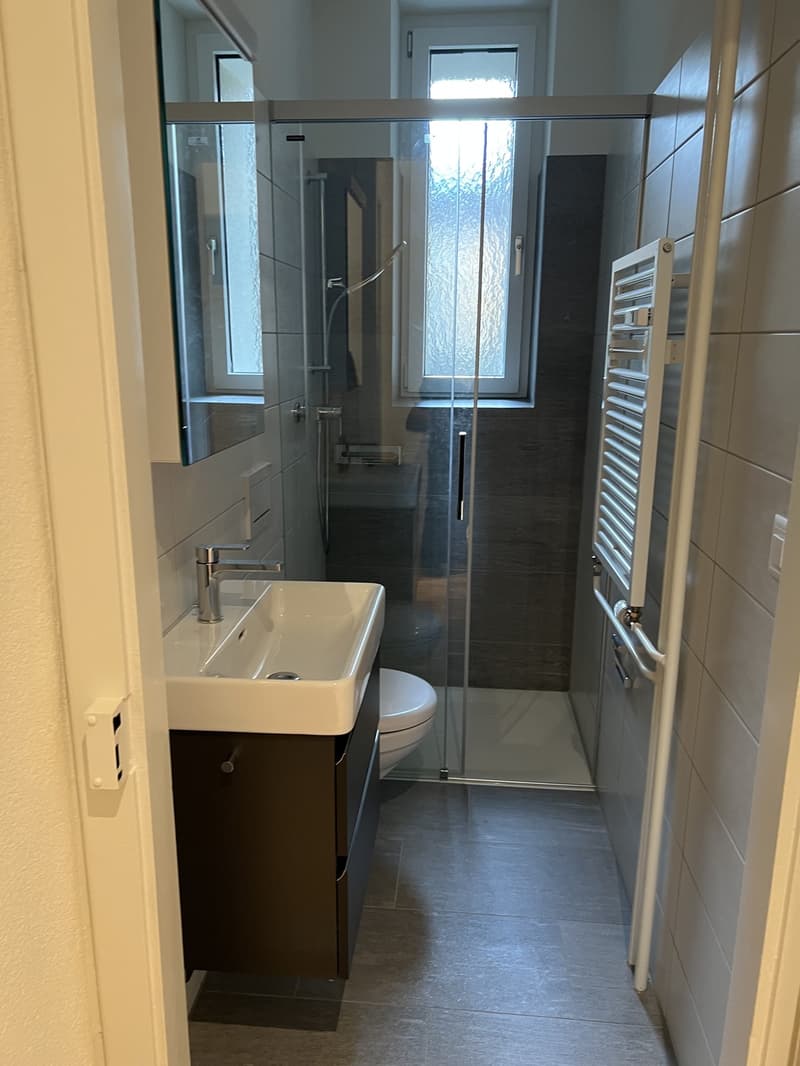 Charmante Altbauwohnung in Zürich Wiedikon | Charming Apartment in Zurich Wiedikon (8)