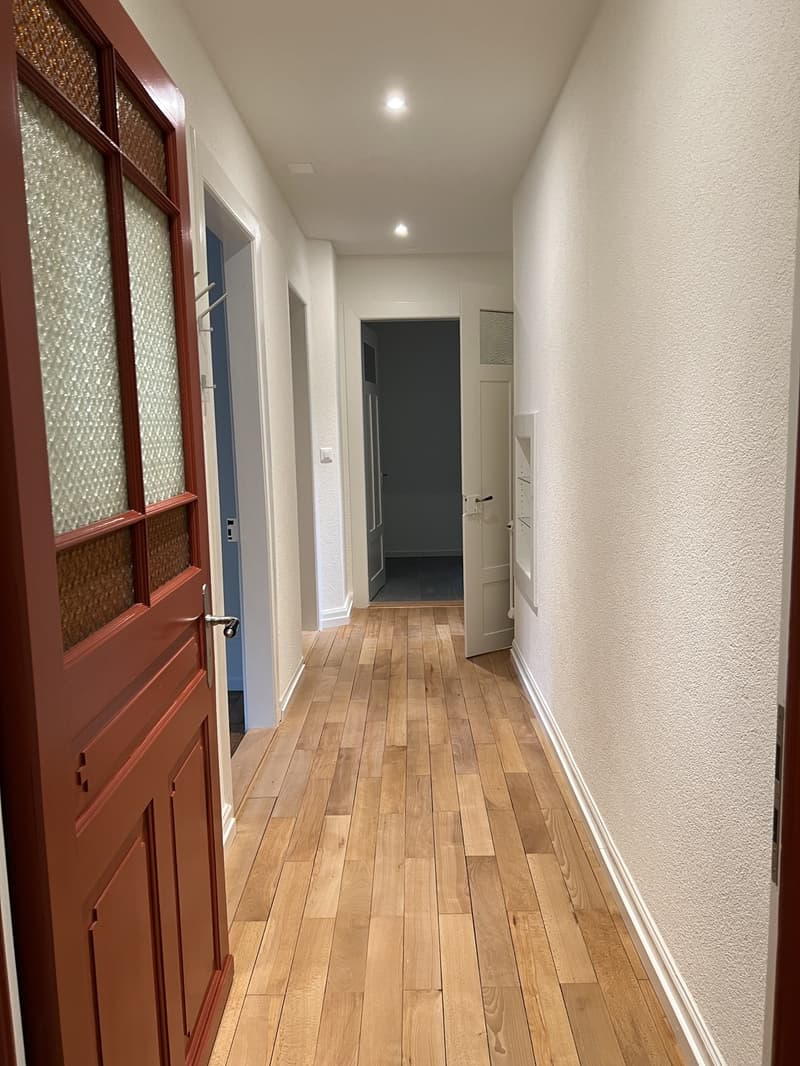 Charmante Altbauwohnung in Zürich Wiedikon | Charming Apartment in Zurich Wiedikon (3)