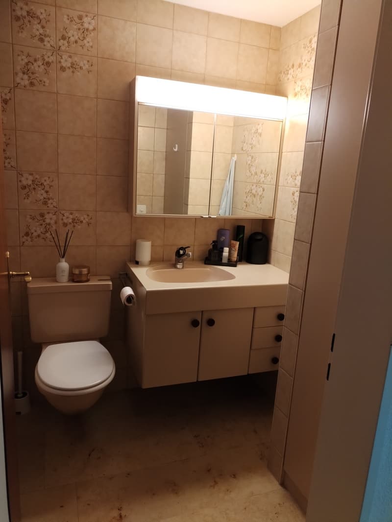 2 ½ Zimmer-Wohnung, 6210 sursee (4)