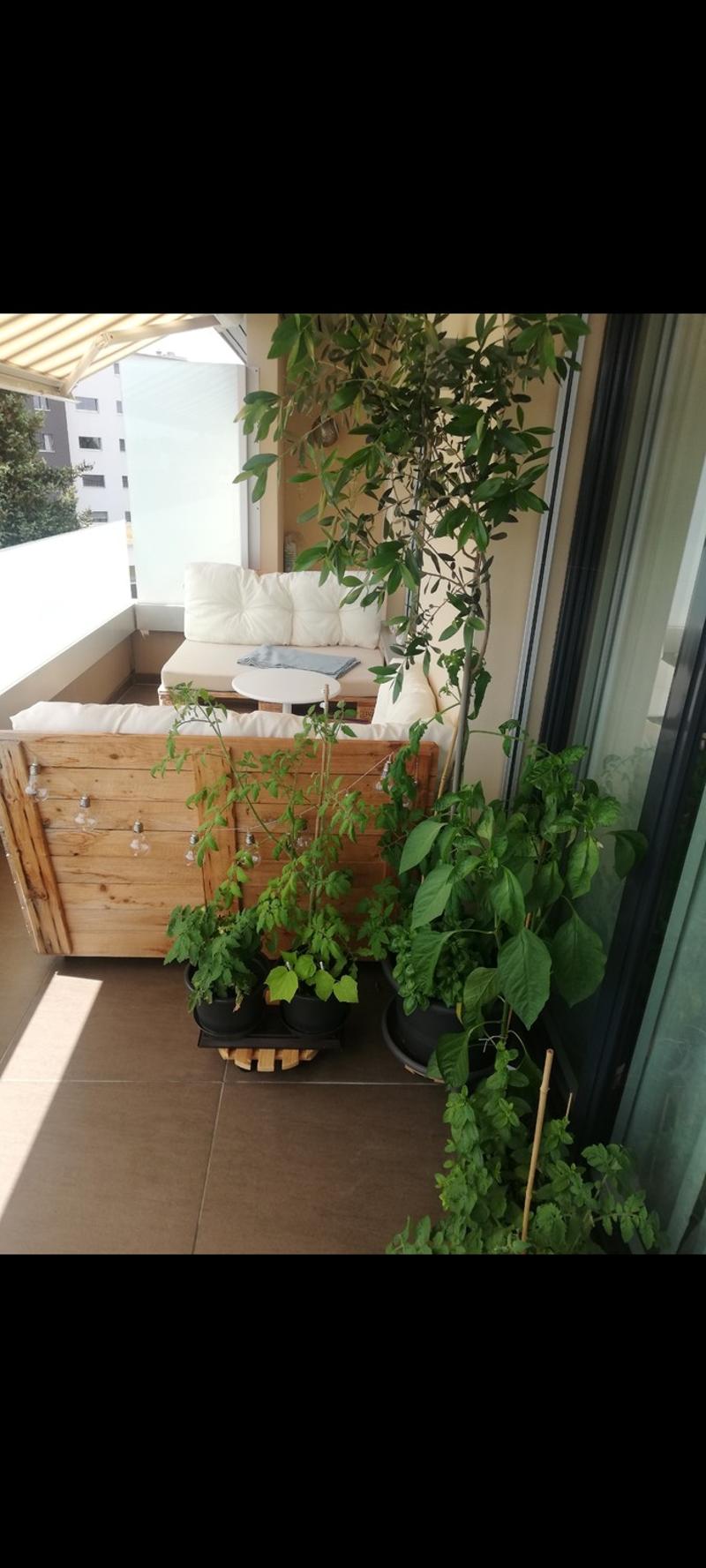 2 ½ Zimmer-Wohnung, 6210 sursee (3)