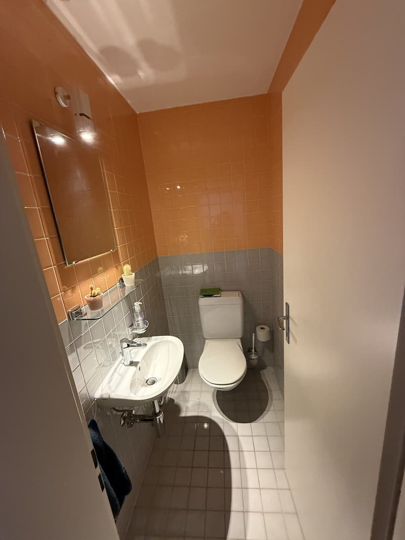 3,5-Zimmer-Wohnung mit eigener Terrasse in Uster frei ab 1. Januar 2027 (13)