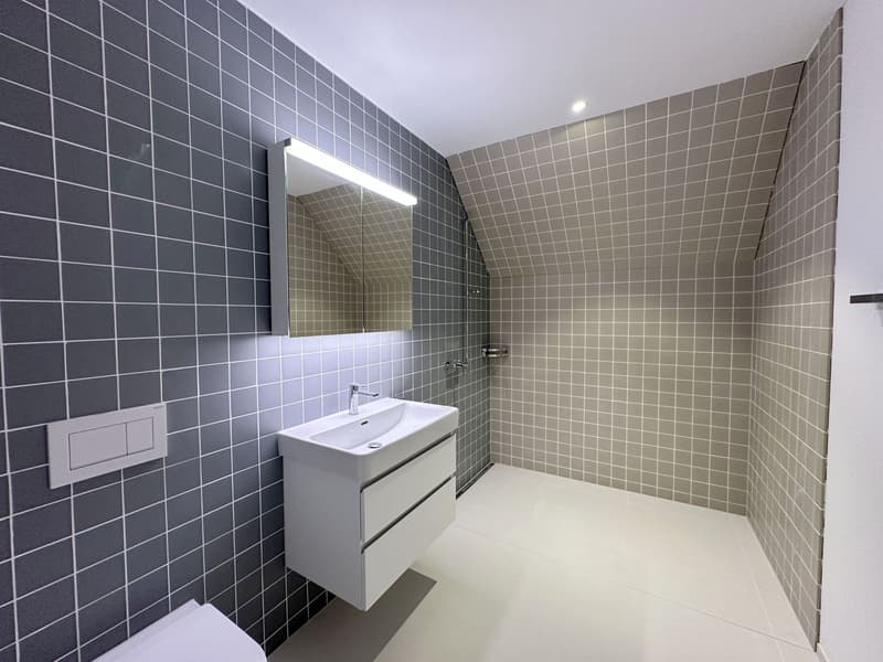 Nachmieter gesucht: Helle 3.5-Zimmer mit Loggia im Neubau (85.5 m²) (4)