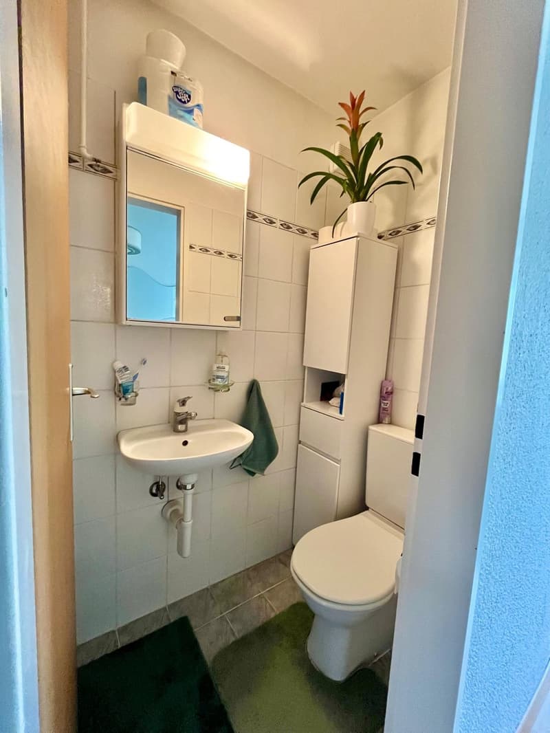 4.5-Zimmer-Wohnung (90 m²) mit grossem Balkon und schöner Aussicht in Wittnau (6)