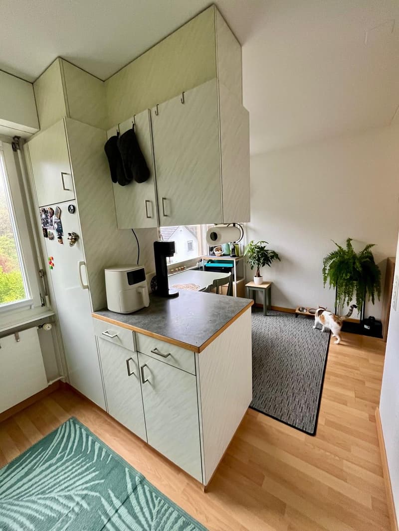 4.5-Zimmer-Wohnung (90 m²) mit grossem Balkon und schöner Aussicht in Wittnau (9)