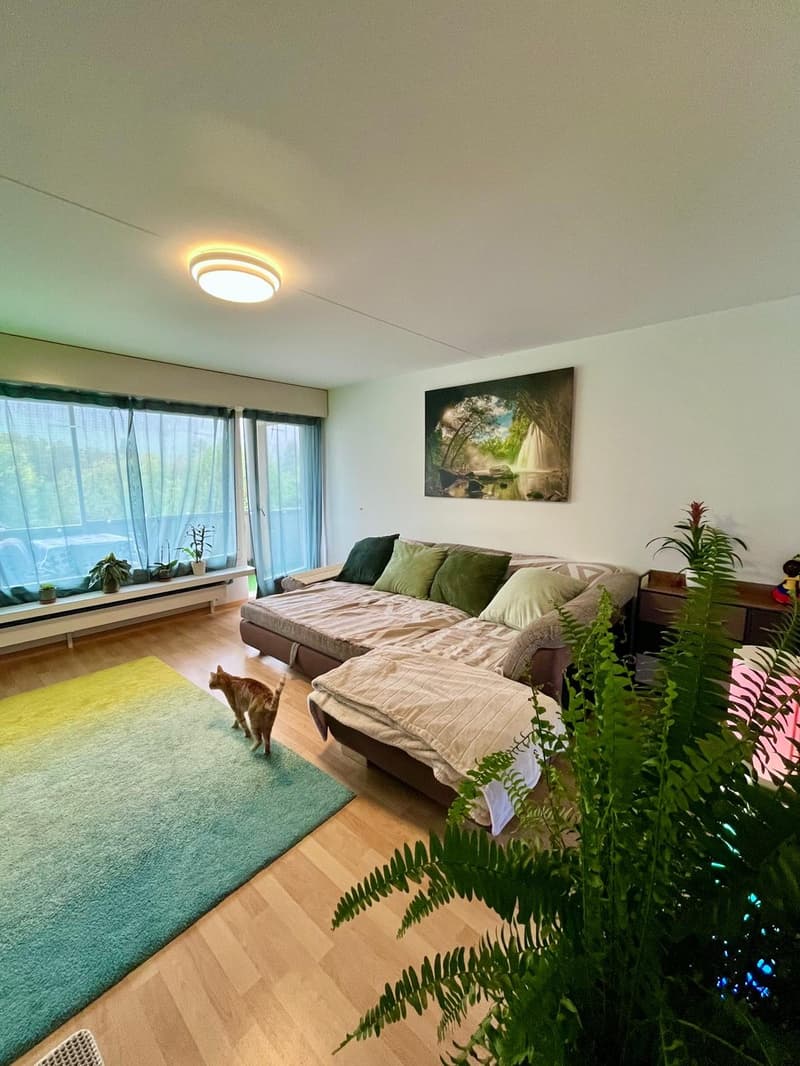4.5-Zimmer-Wohnung (90 m²) mit grossem Balkon und schöner Aussicht in Wittnau (11)