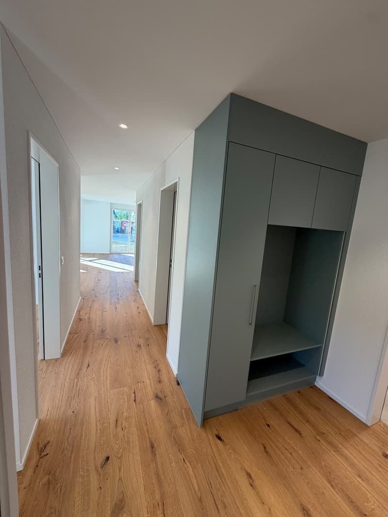Neubauwohnung 4 1/2 Zimmer in Reinach AG zu vermieten (erstbezug) (5)