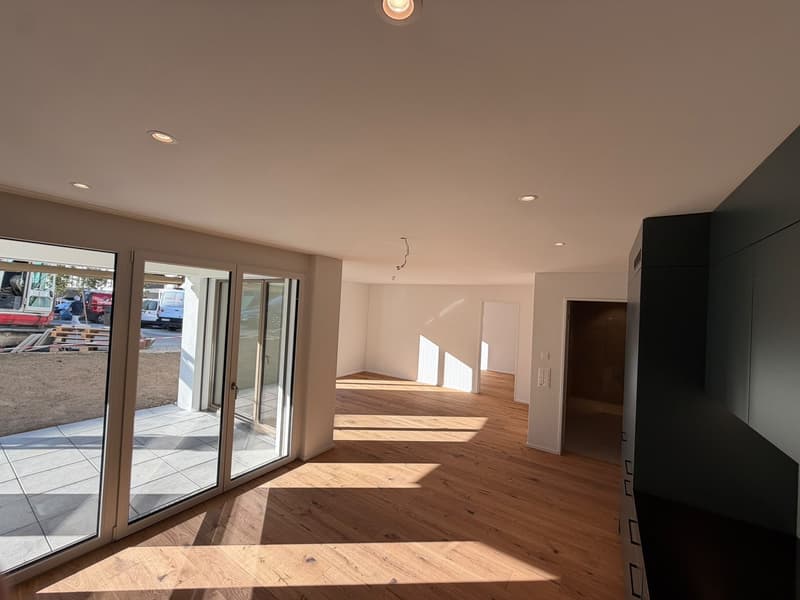 Neubauwohnung 4 1/2 Zimmer in Reinach AG zu vermieten (erstbezug) (1)
