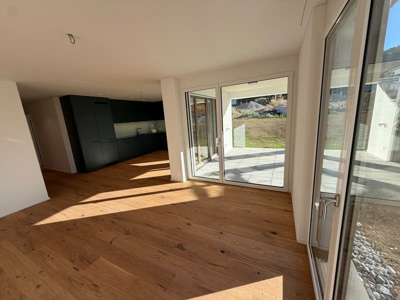 Neubauwohnung 4 1/2 Zimmer in Reinach AG zu vermieten (erstbezug) (11)