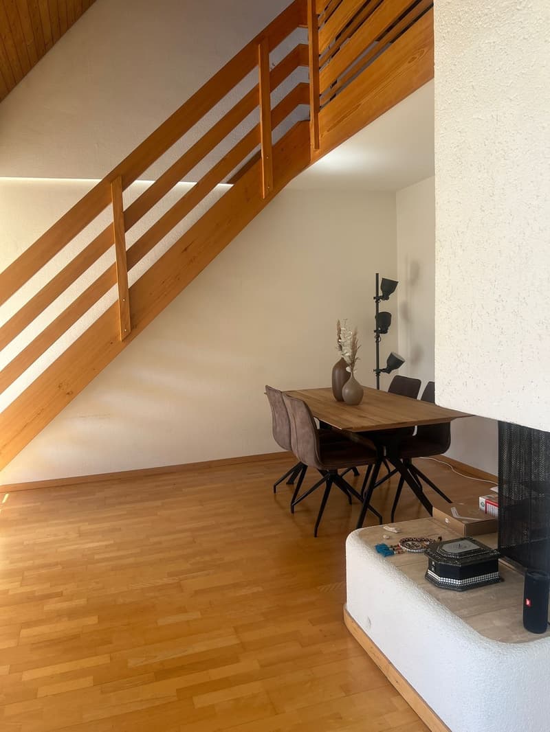Room in a fully furnished 2-person apartment, 120 m², close to Zurich city centre with mountain views (5)