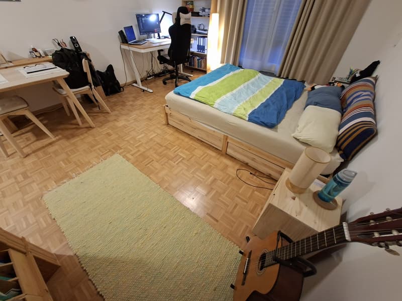 Doppelwohnung in Witikon und bei Uni Irchel (5)