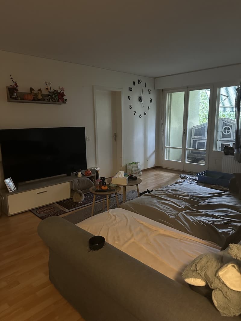 3.5-Zimmer-Wohnung in Moosseedorf (1)