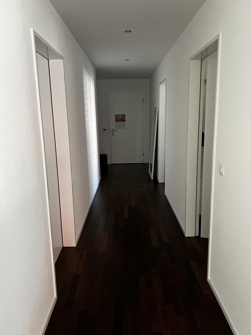 Nachmieter*in gesucht für moderne 3.5 Zimmer-Wohnung (1)