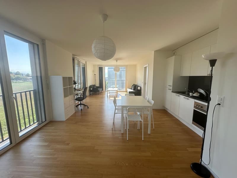 Apartment for rent in Crissier 2.5 rooms Available 1 November (3)
