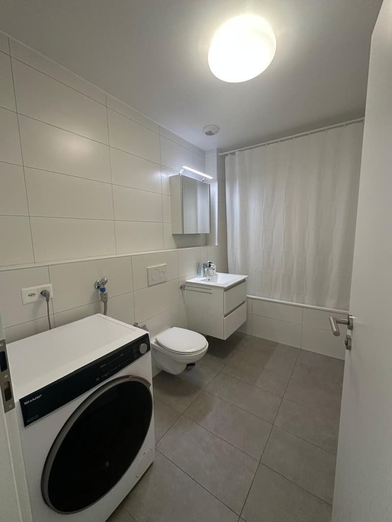 Apartment for rent in Crissier 2.5 rooms Available 1 November (2)