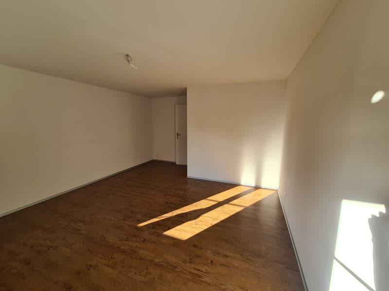4.5 Zimmer-Parterre Wohnung (11)