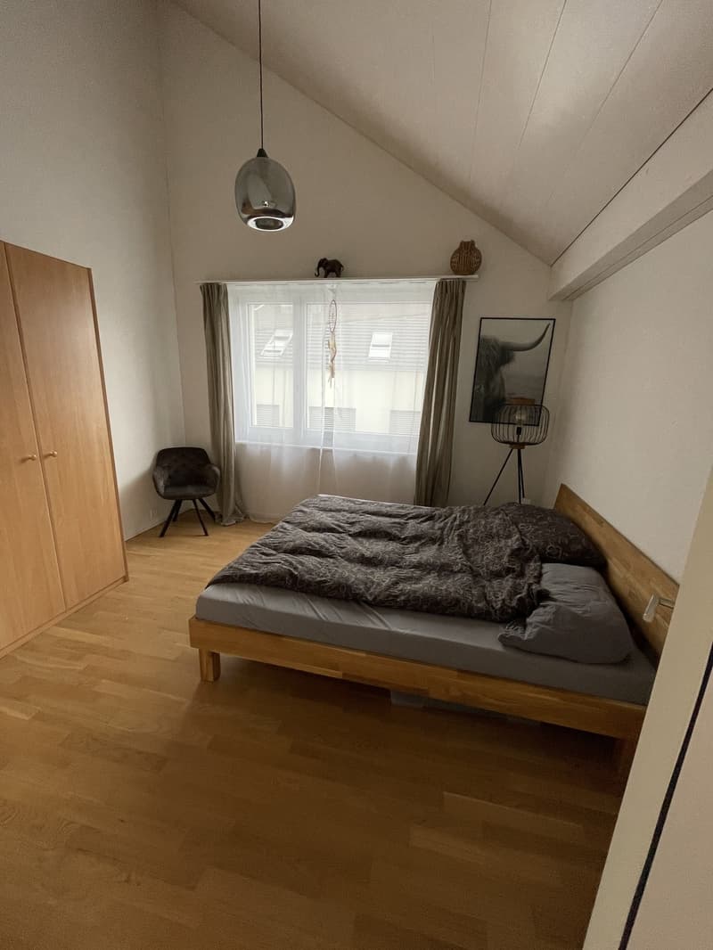 Moderne 2.5-Zimmer-Dachwohnung mit Terrasse in Fahrwangen (8)