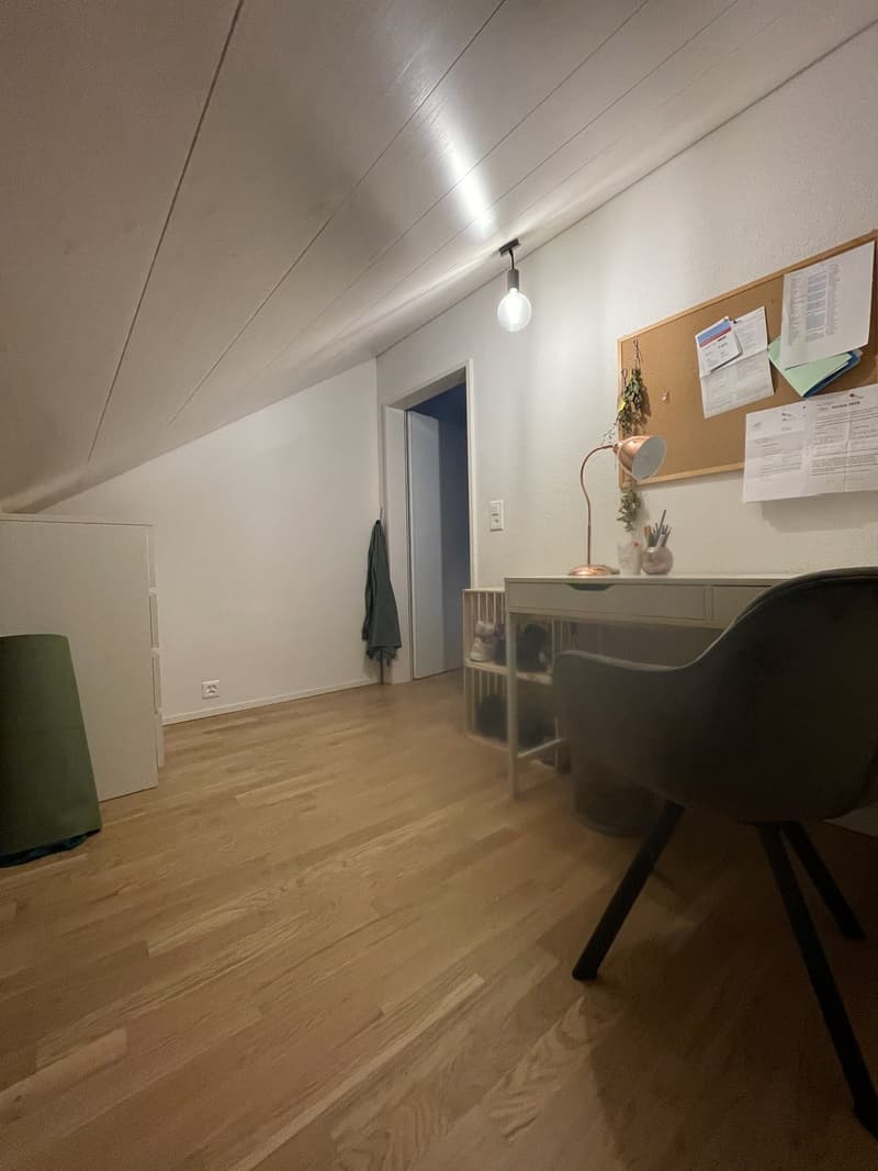 Moderne 2.5-Zimmer-Dachwohnung mit Terrasse in Fahrwangen (3)