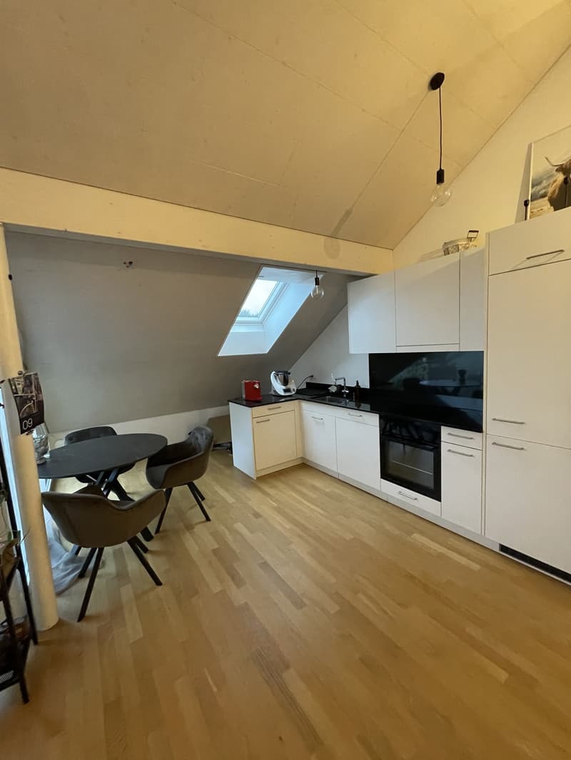 Moderne 2.5-Zimmer-Dachwohnung mit Terrasse in Fahrwangen (2)